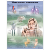 Плакат "Никотиновая зависимость", ламинированный, 50*67 см - «globural.ru» - Чапаевск