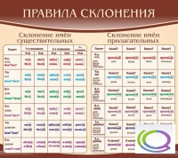 Стенд "Правила склонения" - «globural.ru» - Чапаевск