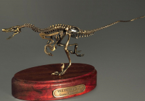 Модель скелета динозавра Velociraptor - «globural.ru» - Чапаевск