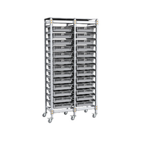 Стеллаж мобильный 2-х секционный для учебных наборов и цифровых лабораторных комплексов SenseDisc - «globural.ru» - Чапаевск