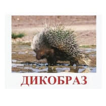 Карточки Домана "Дикие животные-3" - «globural.ru» - Чапаевск