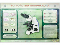 Электрифицированный стенд "Устройство микроскопа и правила работы c ним" - «globural.ru» - Чапаевск