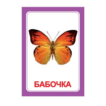 Логопедка "Ч" (логопедические карточки) - «globural.ru» - Чапаевск