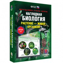 Наглядная биология. Растение - живой организм - «globural.ru» - Чапаевск