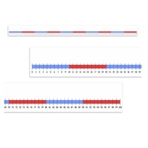 Нумирошка. Числовая прямая 0-100 по методике Нумикон - «globural.ru» - Чапаевск