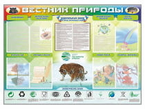Стенд-уголок "Вестник природы" (вариант 1) - «globural.ru» - Чапаевск