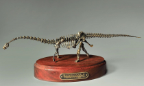Модель скелета динозавра Diplodocus  (вариант 2) - «globural.ru» - Чапаевск