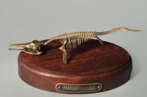 Модель скелета ихтиозавра Ichthyosaurus - «globural.ru» - Чапаевск