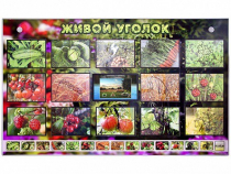 Комплект оборудования "Живой уголок" (растения) с тифлопереводом и сурдокомментариями - «globural.ru» - Чапаевск