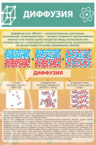 Стенд "Диффузия" - «globural.ru» - Чапаевск