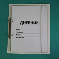 Дневник школьника (с полным набором карточек) - «globural.ru» - Чапаевск
