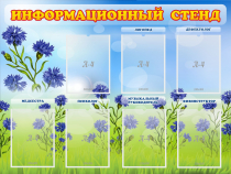 Стенд информационный с 7 карманами - «globural.ru» - Чапаевск