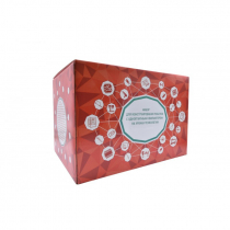 Набор для конструирования роботов с одноплатным компьютером на уроках технологии - «globural.ru» - Чапаевск