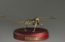 Модель скелета динозавра Diplodocus (вариант 1) - «globural.ru» - Чапаевск