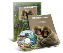 Электронное наглядное пособие «Эволюция» - «globural.ru» - Чапаевск