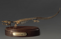 Модель скелета мозазавра Mosasaurus - «globural.ru» - Чапаевск