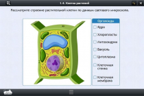 Интерактивные курсы. Биология 9 класс. Расширенный - «globural.ru» - Чапаевск