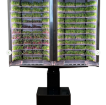 Вертикальная  ферма «Моя микрозелень» комплектация  «Театро настенная» - «globural.ru» - Чапаевск