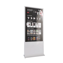 Интерактивный сенсорный киоск Nova 65" - «globural.ru» - Чапаевск