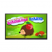 Интерактивная сенсорная панель 55"  (UHD 4K) - «globural.ru» - Чапаевск