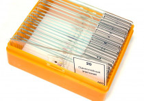 Набор микропрепаратов N20 - «globural.ru» - Чапаевск