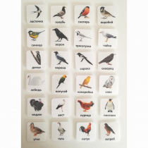 Набор карточек "ПТИЦЫ" - «globural.ru» - Чапаевск