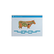 Стенд-планшет светодинамический "Изучение нервной системы сельскохозяйственных животных" со сменными панелями - «globural.ru» - Чапаевск