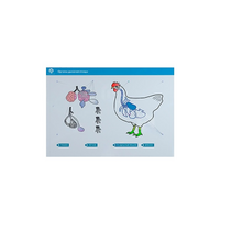 Стенд-планшет светодинамический "Изучение органов дыхания сельскохозяйственных животных" со сменными панелями - «globural.ru» - Чапаевск