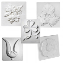 Комплект гипсовых моделей растений  - «globural.ru» - Чапаевск