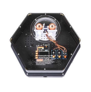 Модуль интерактивный с искусственным интеллектом "Наблюдатель" - «globural.ru» - Чапаевск