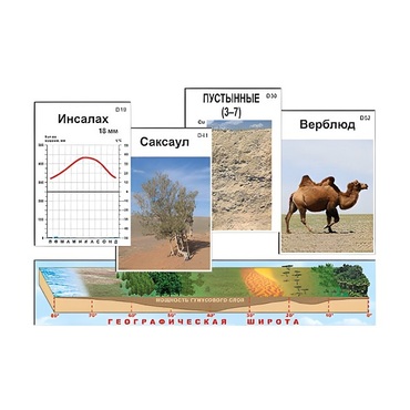 Модель-аппликация "Природные зоны" (ламинированная) - «globural.ru» - Чапаевск
