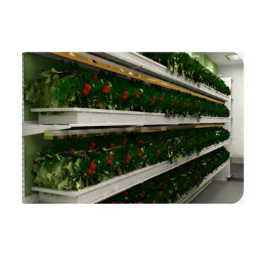 Стеллаж для выращивания клубники "Стена" - «globural.ru» - Чапаевск