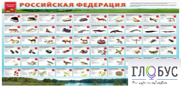 Стенд "Красная книга РФ" - «globural.ru» - Чапаевск