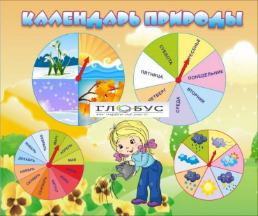 Стенд "Календарь природы" (вариант 1) - «globural.ru» - Чапаевск