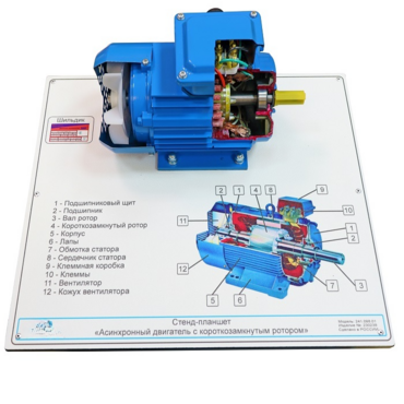 Планшет светодинамический «асинхронный двигатель с короткозамкнутым ротором» - «globural.ru» - Чапаевск