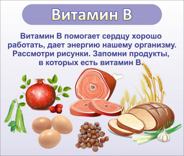 Стенд "Витамин В" - «globural.ru» - Чапаевск