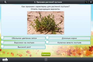 Интерактивные курсы. Окружающий мир 3 класс. Базовый - «globural.ru» - Чапаевск