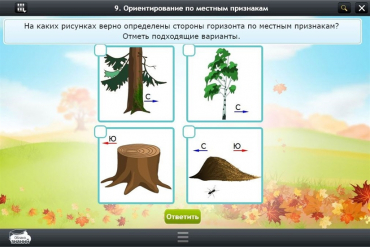 Интерактивные курсы. Окружающий мир 1 класс. Базовый - «globural.ru» - Чапаевск