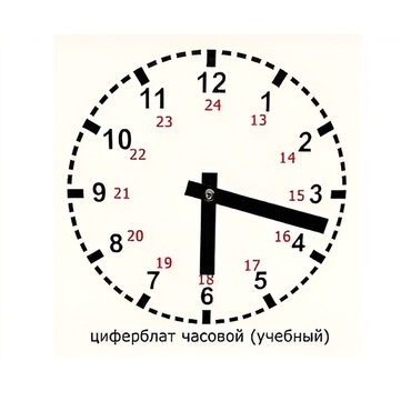 Часовой циферблат раздаточный - «globural.ru» - Чапаевск