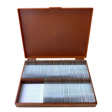 Комплект микропрепаратов по анатомии, ботанике, зоологии, общей биологии - «globural.ru» - Чапаевск