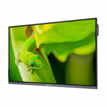 Интерактивный программно-аппаратный комплекс Geckotouch Interactive IP65GT-C в комплекте с настенным креплением - «globural.ru» - Чапаевск