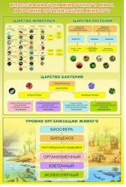 Стенд "Классификация животного мира" - «globural.ru» - Чапаевск