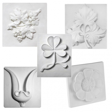 Комплект гипсовых моделей растений  - «globural.ru» - Чапаевск